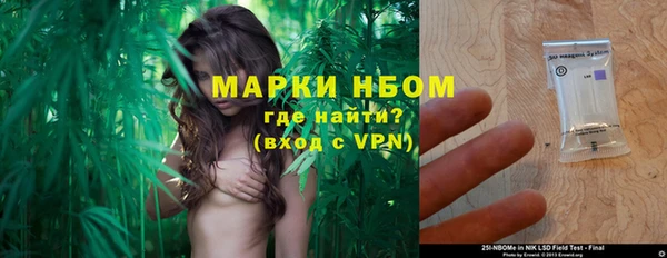 винт Аркадак