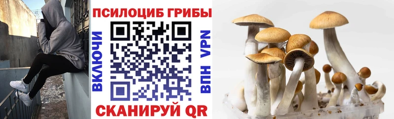 Псилоцибиновые грибы MAGIC MUSHROOMS  Полесск 