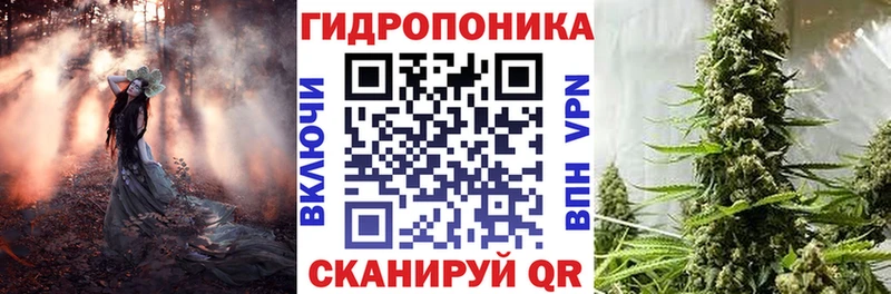 Конопля THC 21%  купить наркоту  Полесск 